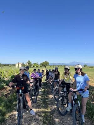Thumbnail Half-Day E-bike Tour with Tastings at Two Wineries in Châteauneuf-du-Pape