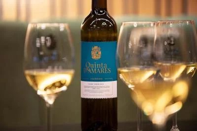 Thumbnail Private Vinho Verde Tasting at Quinta d'Amares near Braga