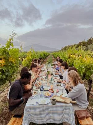 Thumbnail Passeggiata tra i vigneti e degustazione di vino con prodotti locali al Podere 45 di Alghero