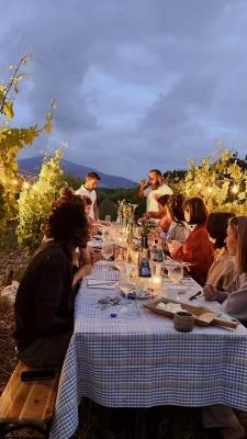 Thumbnail Promenade dans les vignes et dégustation de vins accompagnée de produits locaux au Podere 45 à Alghero