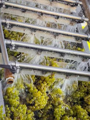 Thumbnail "Danza dei Contadini" Wine & Spirit Tasting at Pojer e Sandri in San Michele all'Adige