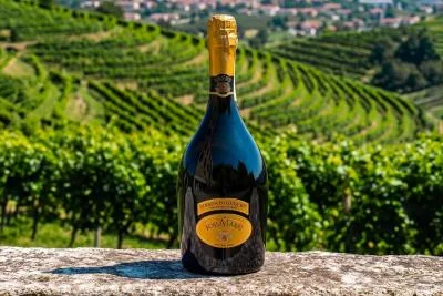 Thumbnail Comparative Prosecco Superiore Tasting at Foss Marai in Valdobbiadene
