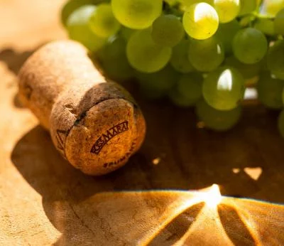 Thumbnail Marai de Marai Prosecco Tasting & Tour at Foss Marai in Valdobbiadene