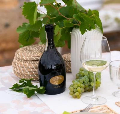 Thumbnail Prosecco Millesimato Tasting and Tour at Foss Marai in Valdobbiadene