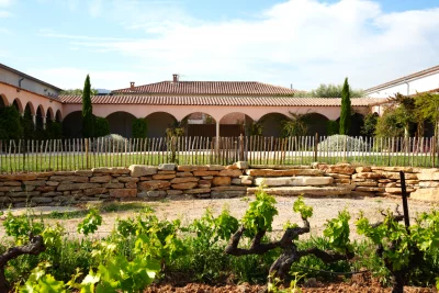 Thumbnail Organic Wine Tasting & Cellar Tour at Domaine Pieracci in Saint-Cyr-sur-Mer