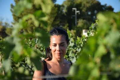 Thumbnail Premium Wine Tasting, Vineyard Tour & Cellar Visit at Borgo Turrito in Foggia