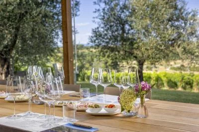 Thumbnail Silver Wine Tasting and Winery Tour at Poggio Mori in Sarteano