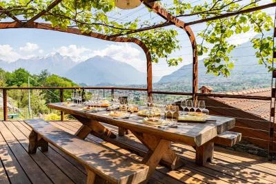 Thumbnail Wine Tasting with Lake Como Views at Azienda Agricola Del Risti in Colico