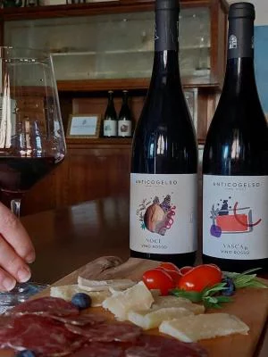 Thumbnail Artisanal Merlot Tasting with Local Pairings at Antico Gelso in Pozzolengo