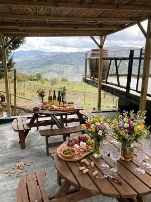 Thumbnail Private Gourmet Lunch with Wine Pairing at Cantina Semantile in Maniace