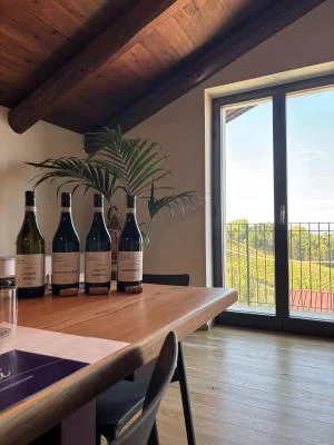 Thumbnail Visita alla cantina e degustazione di vini del Barbaresco e delle Langhe alla Cantina Flori a Treiso
