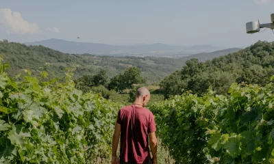 Thumbnail A wine break and tasting in Alta Maremma in a real winery