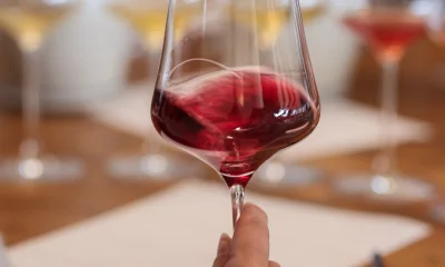 Thumbnail Vineyard walk and wine tasting in Tuscany Maremma