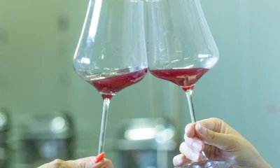 Thumbnail Wine tasting right in a Tuscan cellar