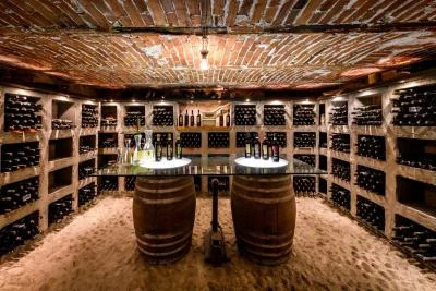 Thumbnail Wine Tasting with the Winemaker at Anzivino in Gattinara, near Lake Maggiore