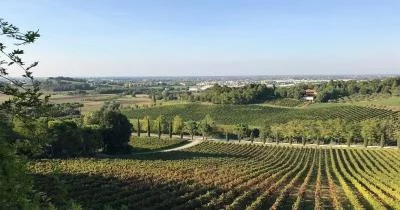 Thumbnail Immersive Wine tasting & Cellar Tour at Fattoria Paradiso in Bertinoro
