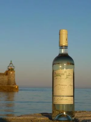 Thumbnail Dégustation sensorielle de vins avec un sommelier à Collioure
