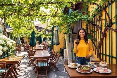 Thumbnail Private Vienna Wine Tour with Vineyards, Cellars & Austrian Lunch