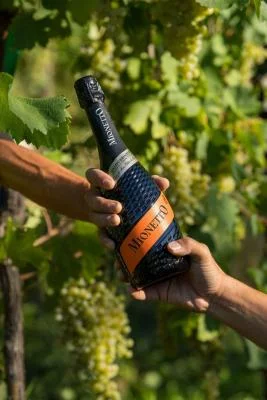 Thumbnail Eroica: Prosecco DOCG Tasting with Rive, Cartizze & Food Pairing at Mionetto in Valdobbiadene