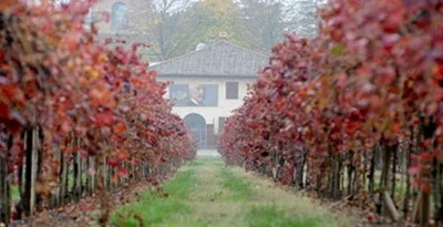 Thumbnail Esperienza di vino metodo classico alla tenuta Cleto Chiarli