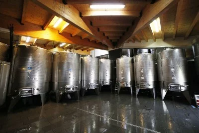 Thumbnail Classic Tasting at Viticoltori De Conciliis in Cilento