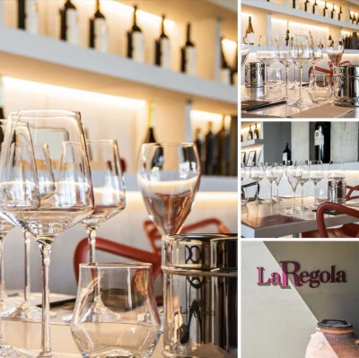 Degustazione all’azienda vitivinicola La Regola
