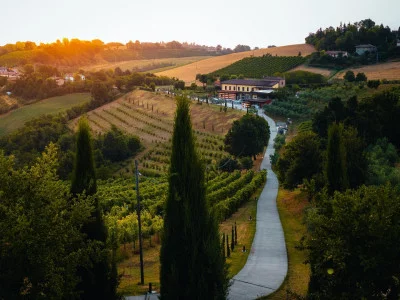 Thumbnail Gourmet lunch and balsamic tasting Experience: Sereni a Tavola