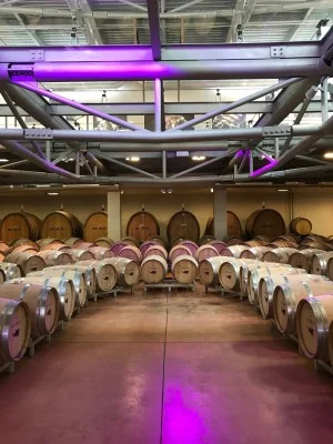 Thumbnail Icario top rated wines Experience