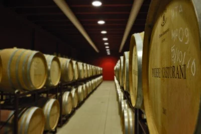 Visita alla cantina Castirani