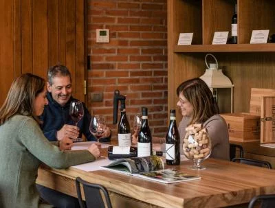 Thumbnail Il Primo Passo: Valpolicella Tasting and Tour at Tedeschi wine