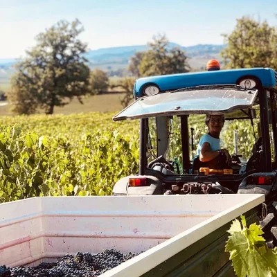 Thumbnail Villa Sant'Anna: una bodega con un toque femenino