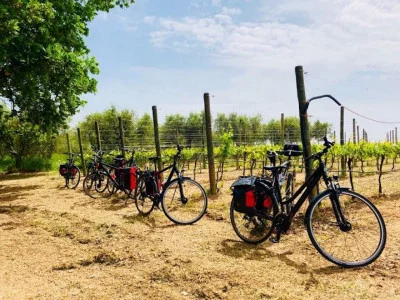Thumbnail Weekend Bike & Wine in Abruzzo