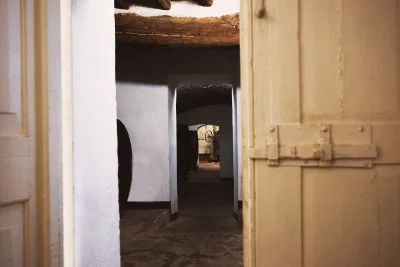 Thumbnail Weinprobe und Olivenölverkostung auf der Fattoria Montereggi