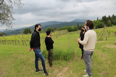 Thumbnail Weinprobe und Olivenölverkostung auf der Fattoria Montereggi