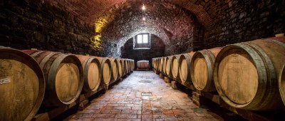 Thumbnail Wine tasting classico presso Cantina Castelvecchi