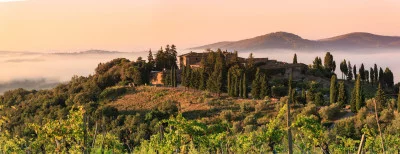Thumbnail Wine tasting classico presso Cantina Castelvecchi