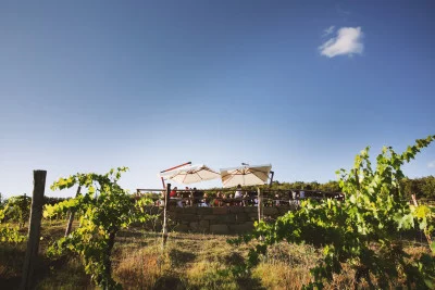 Thumbnail dégustation de vin "Le cœur du sangiovese" à Castelvecchi