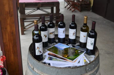 Thumbnail Discover Colli Tortonesi: visit and tasting at Cantine Colonna
