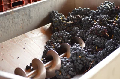 Thumbnail Descubre Colli Tortonesi: visita y degustación en Cantine Colonna