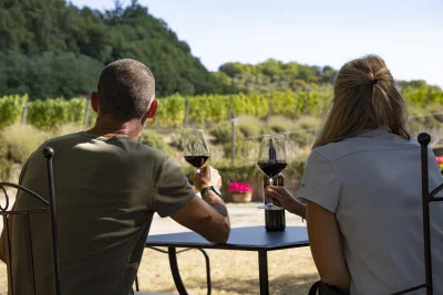 Thumbnail Eine besondere Weinprobe in Mugello bei La Matteraia