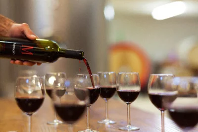 Thumbnail Une dégustation de vin spéciale dans le Mugello à La Matteraia