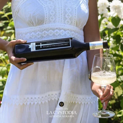 Thumbnail Wine pairing in Umbria -  Cantina Terre de la Custodia