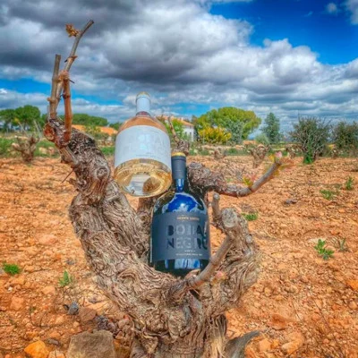 Thumbnail Wine Tour a Valencia Cantine a Utiel Requena
