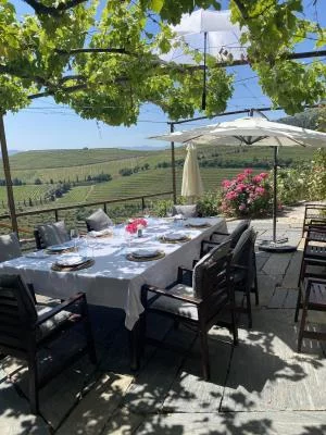 Thumbnail Pranzo tradizionale nel Douro e degustazione di vino a Quinta da Marcela