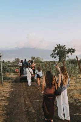 Thumbnail 79 d.C. Trekking e degustazione di vini da Sorrentino Vini sul Vesuvio