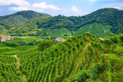 Thumbnail Tour privé des vins entre le lac de Garde et les collines du Prosecco
