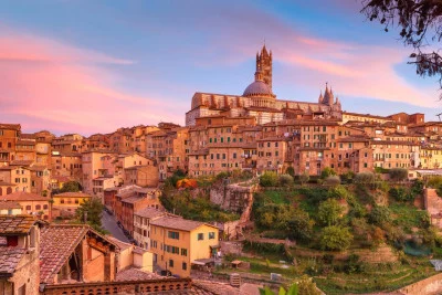 Thumbnail Winedering Private Gourmet Wine Tour in Toscana