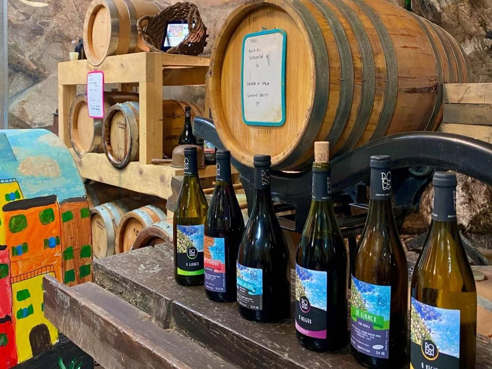 Vertical vineyards tour
