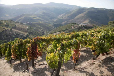 Thumbnail Degustazione di vini premium presso Wine &amp; Soul