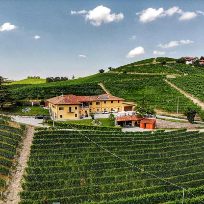 Thumbnail dégustation de vins au cœur du Barolo à Costa di Bussia